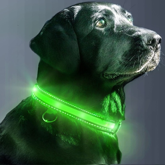 Eversunn Gray LED Dog Collar, USB Rechargeable Waterproof Reflective - Large - Picture 2 of 9
